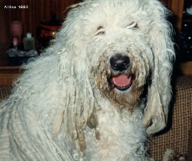 5-A-03-1993