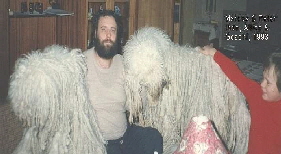 5-A-09-G-1993