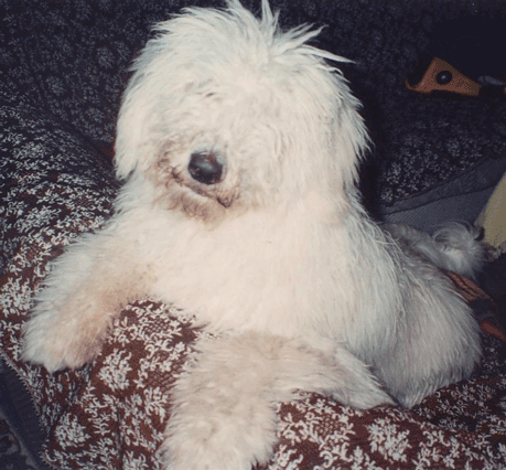Jenny