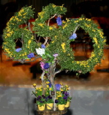 Blumen650